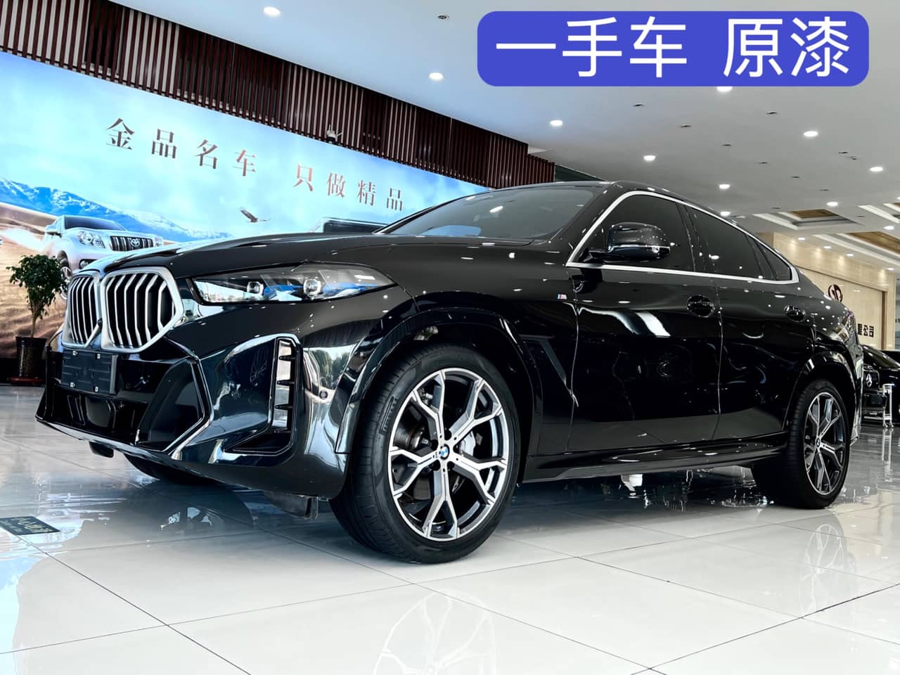 2023 BMW X6; curated vehicle image