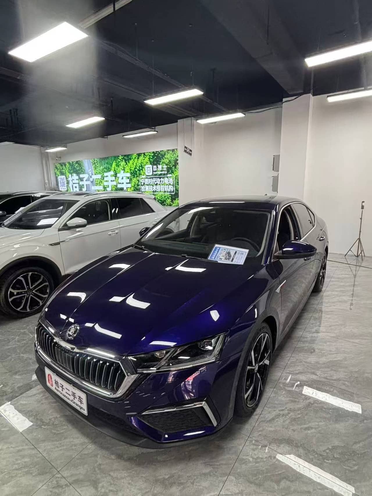 2022 Škoda Octavia; curated vehicle image