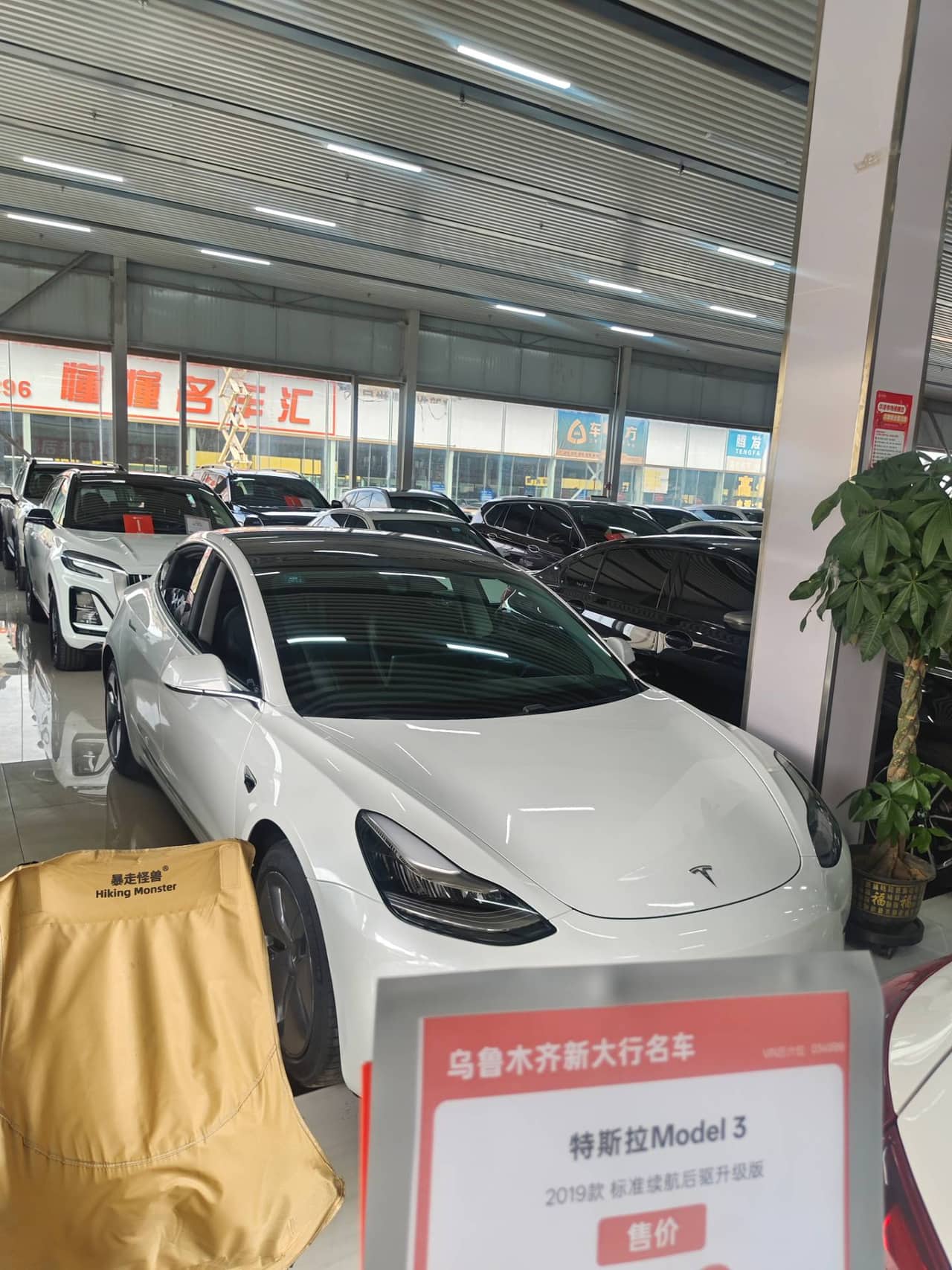 2020 Tesla Model 3; curated vehicle image