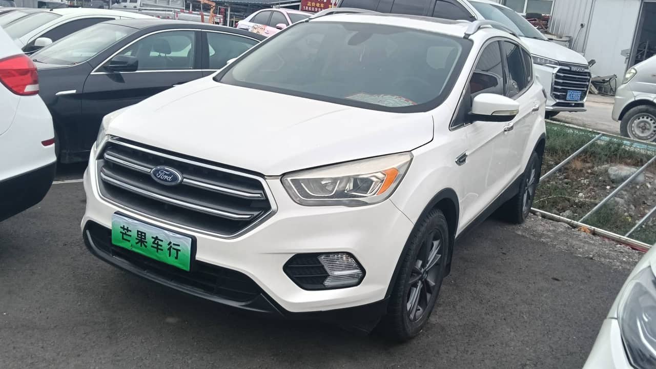 2019 Ford Kuga; curated vehicle image
