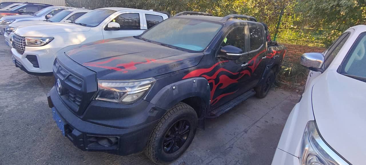2021 Dongfeng Rich 6; curated vehicle image