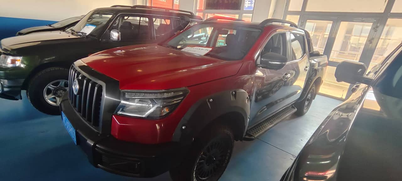 2021 Dongfeng Rich 6; curated vehicle image
