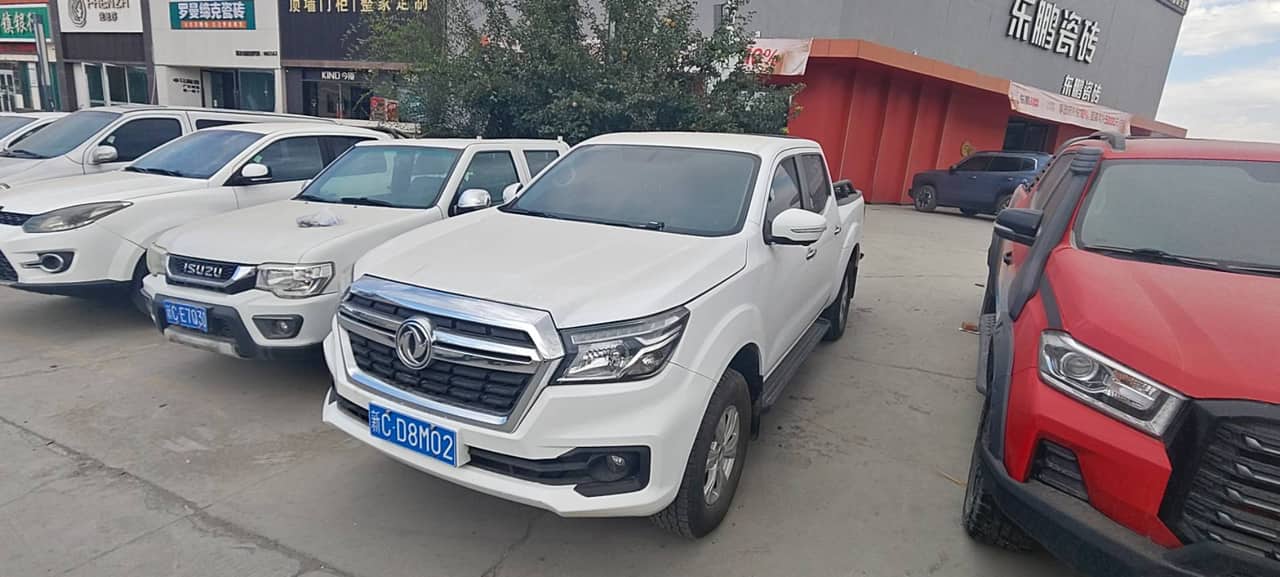 2021 Dongfeng Rich 6; curated vehicle image