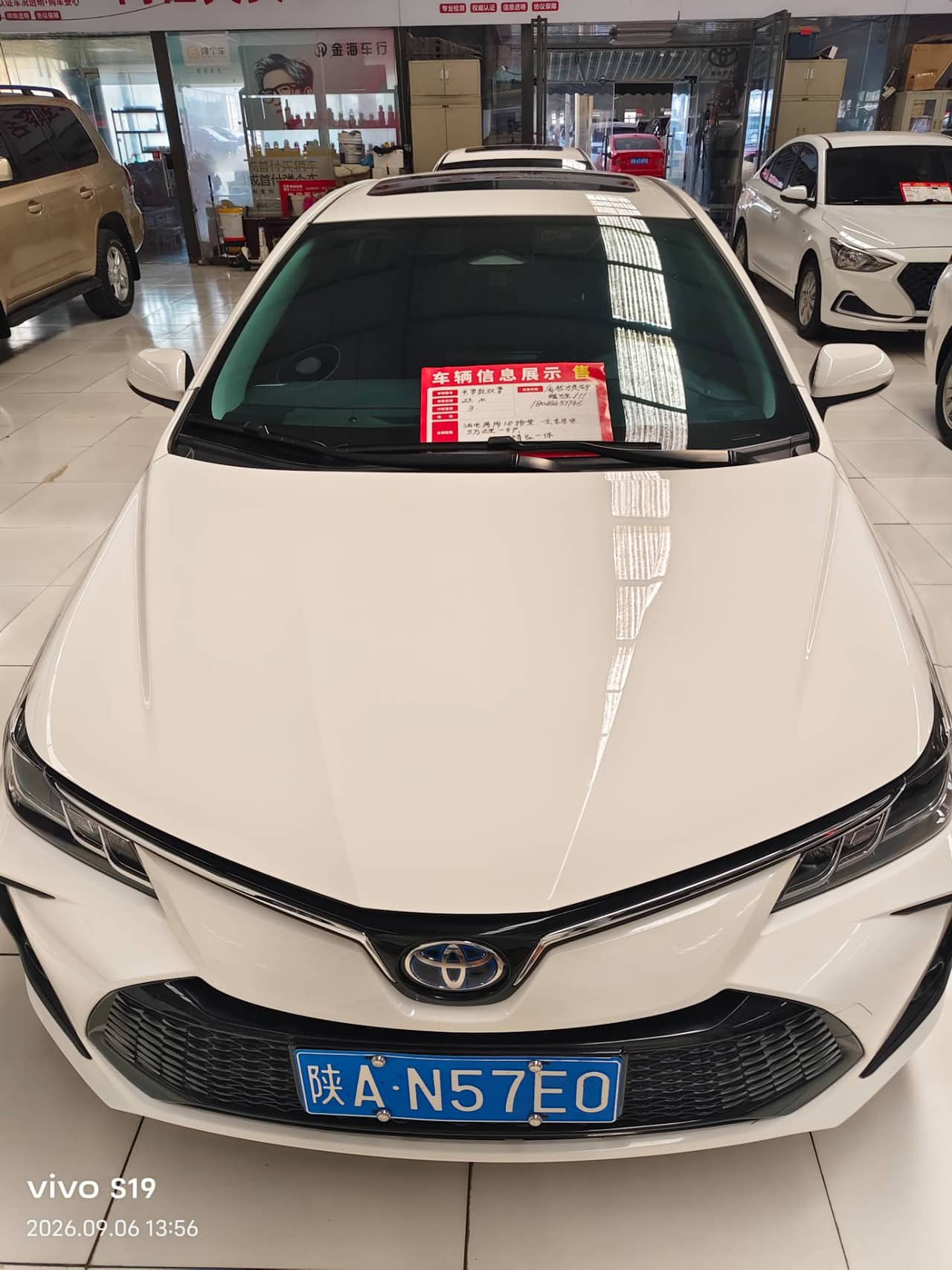 2023 Toyota Corolla PHEV; curated vehicle image