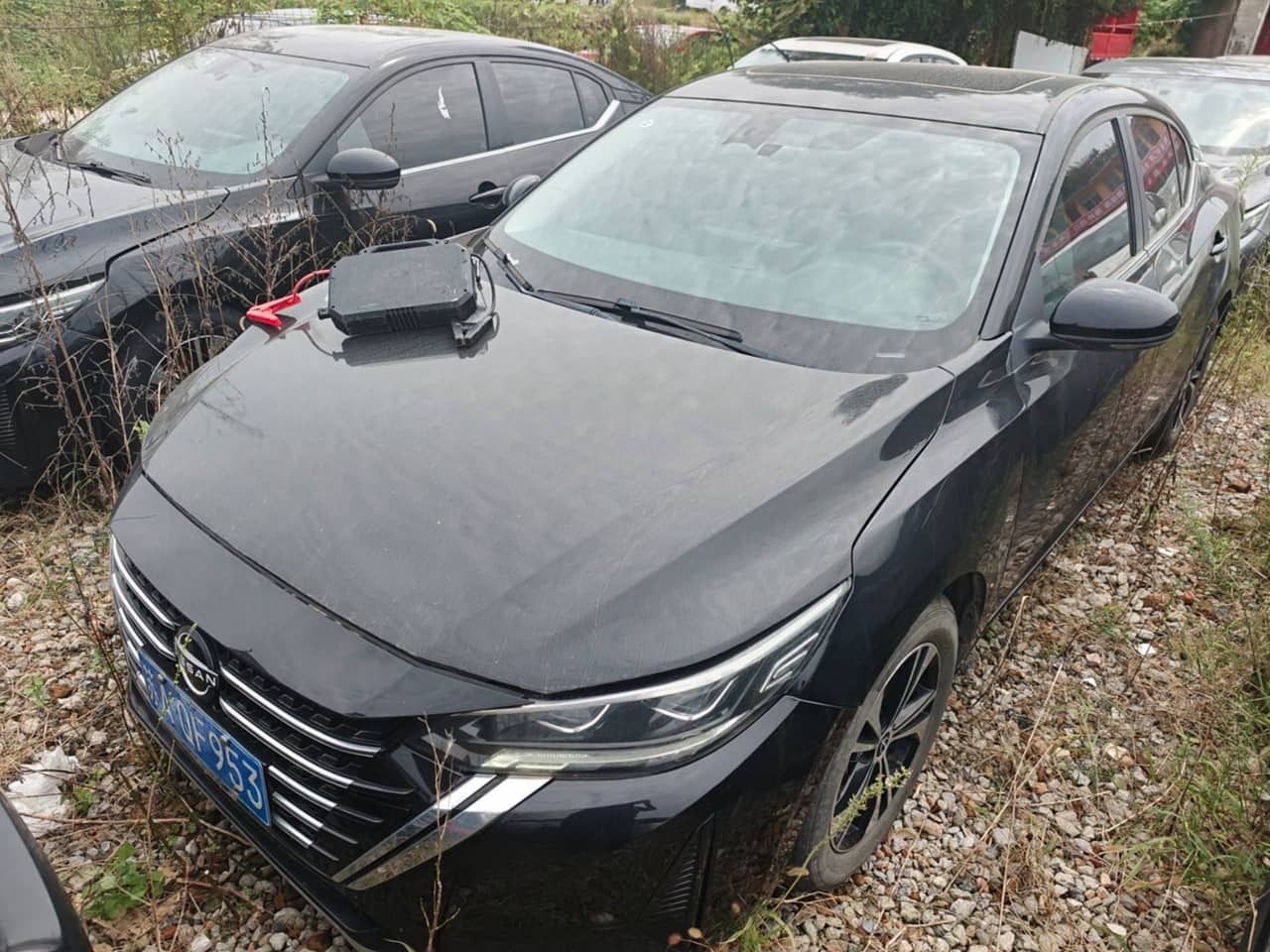 2023 Nissan Sylphy; curated vehicle image