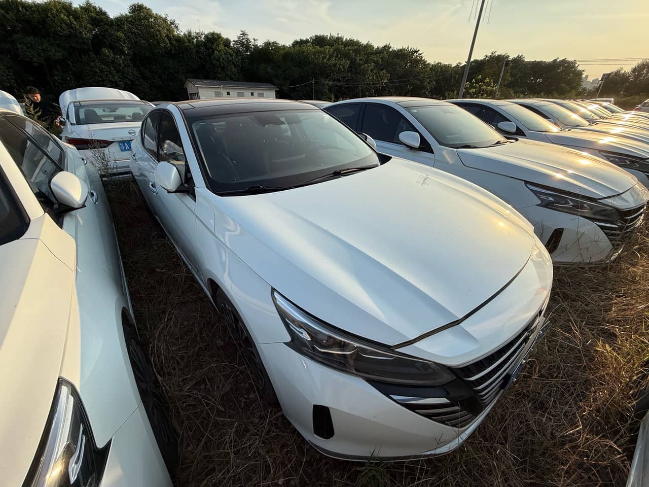 2023 Nissan Teana; curated vehicle image