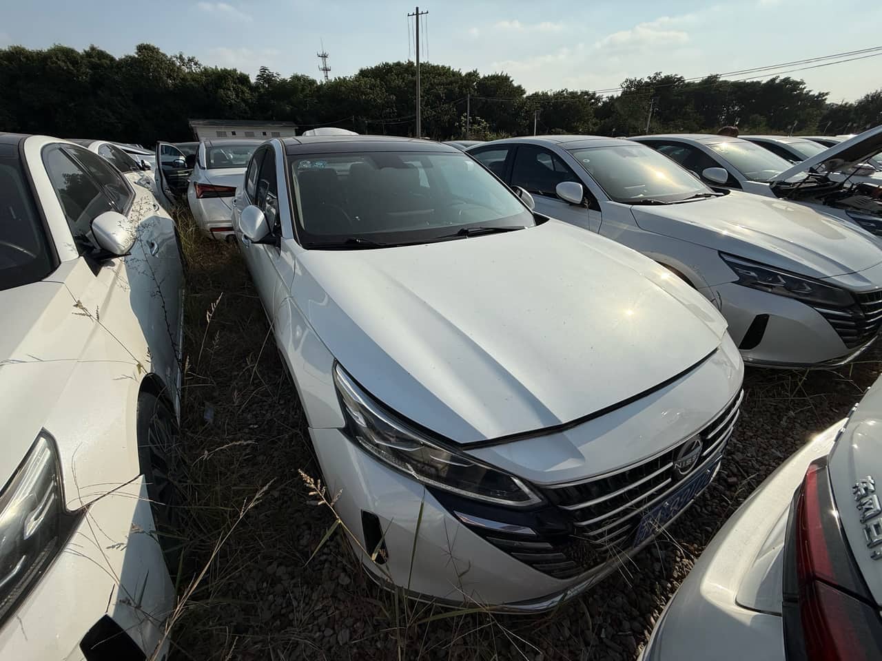 2023 Nissan Teana; curated vehicle image