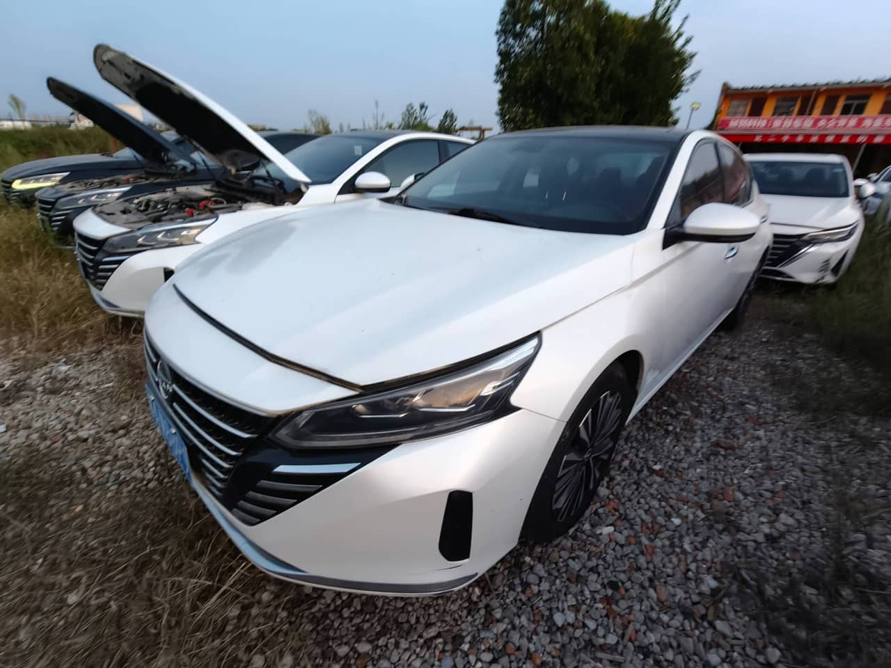 2024 Nissan Teana; curated vehicle image