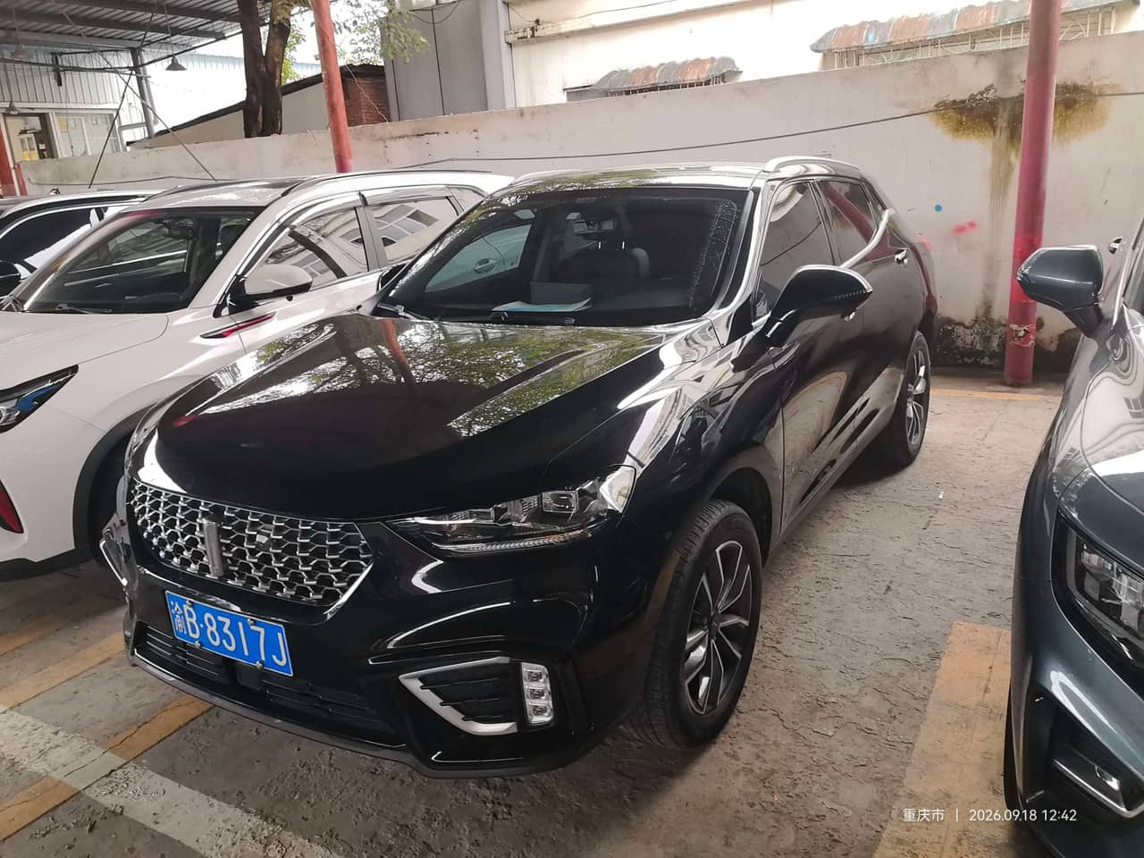 2021 WEY VV5; curated vehicle image