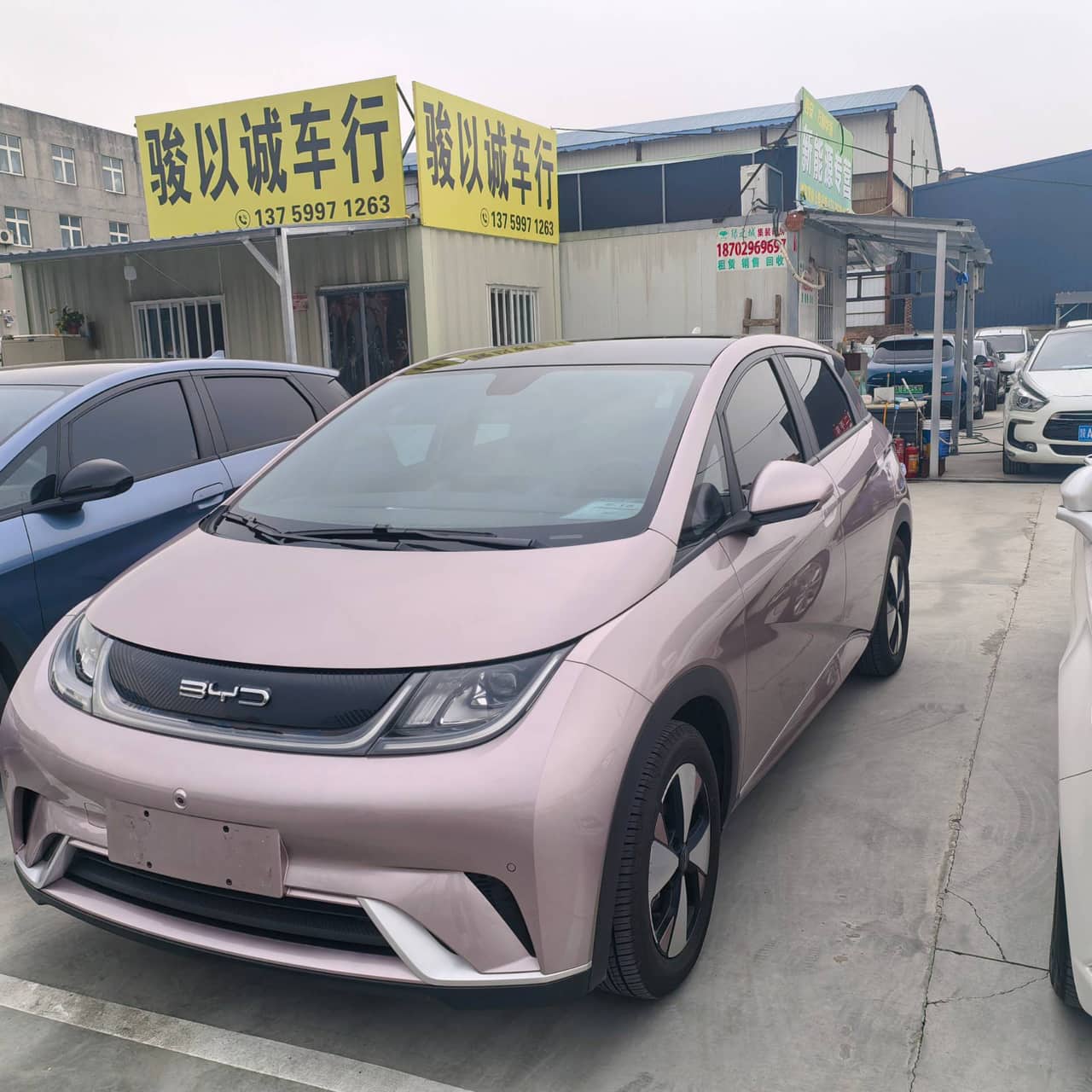 2023 BYD Dolphin; curated vehicle image