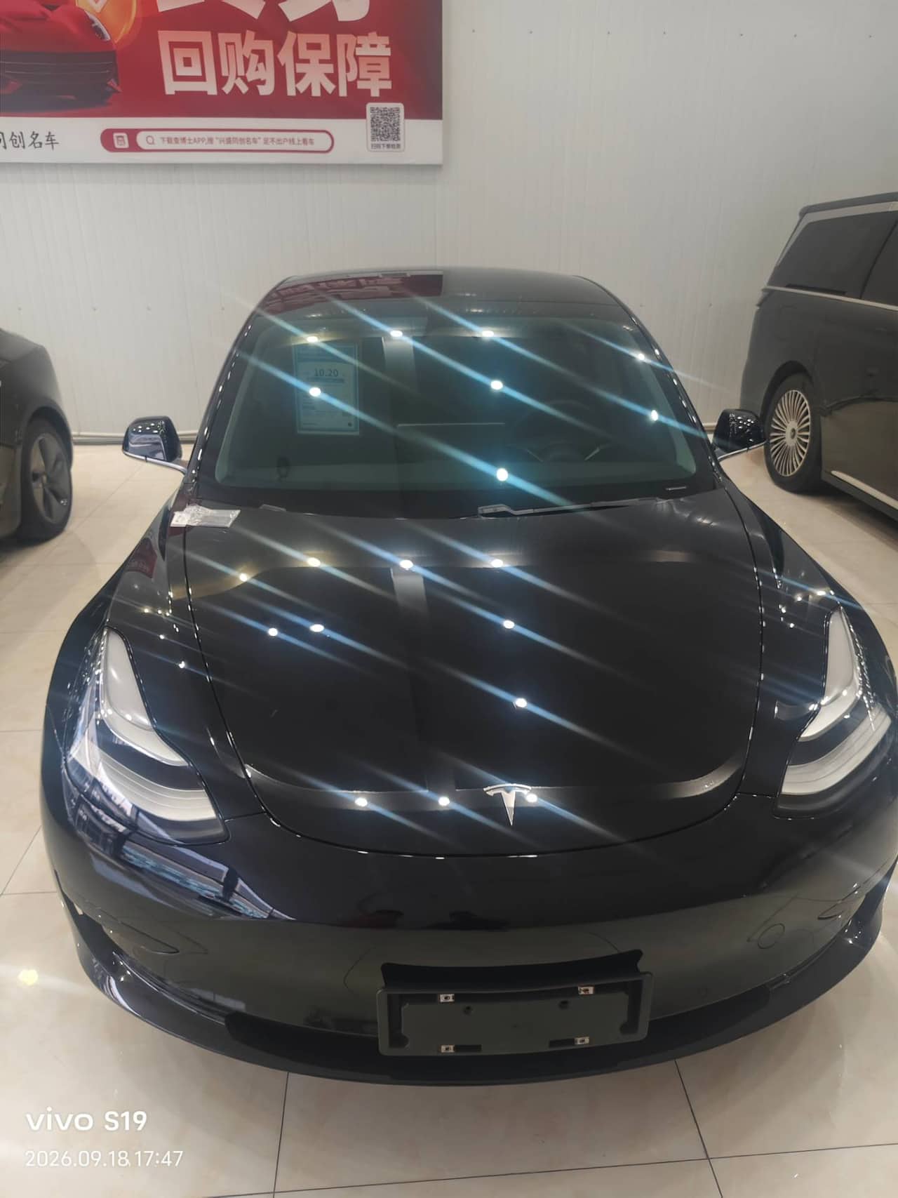 2020 Tesla Model 3; curated vehicle image
