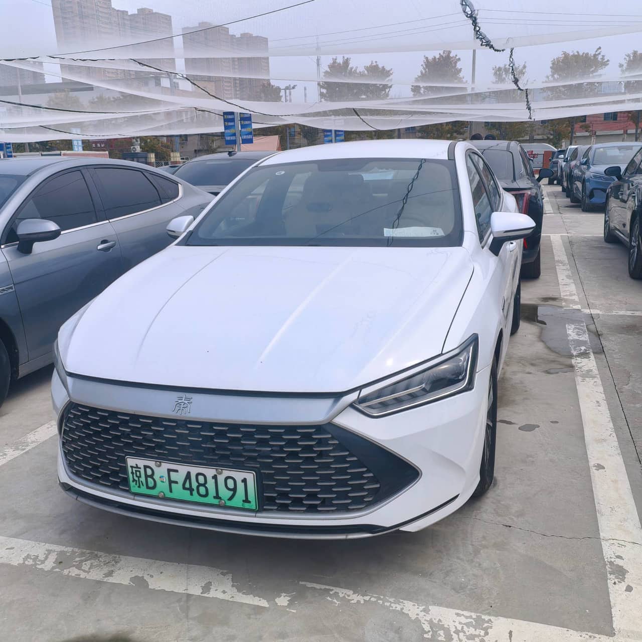 2023 BYD Qin; curated vehicle image