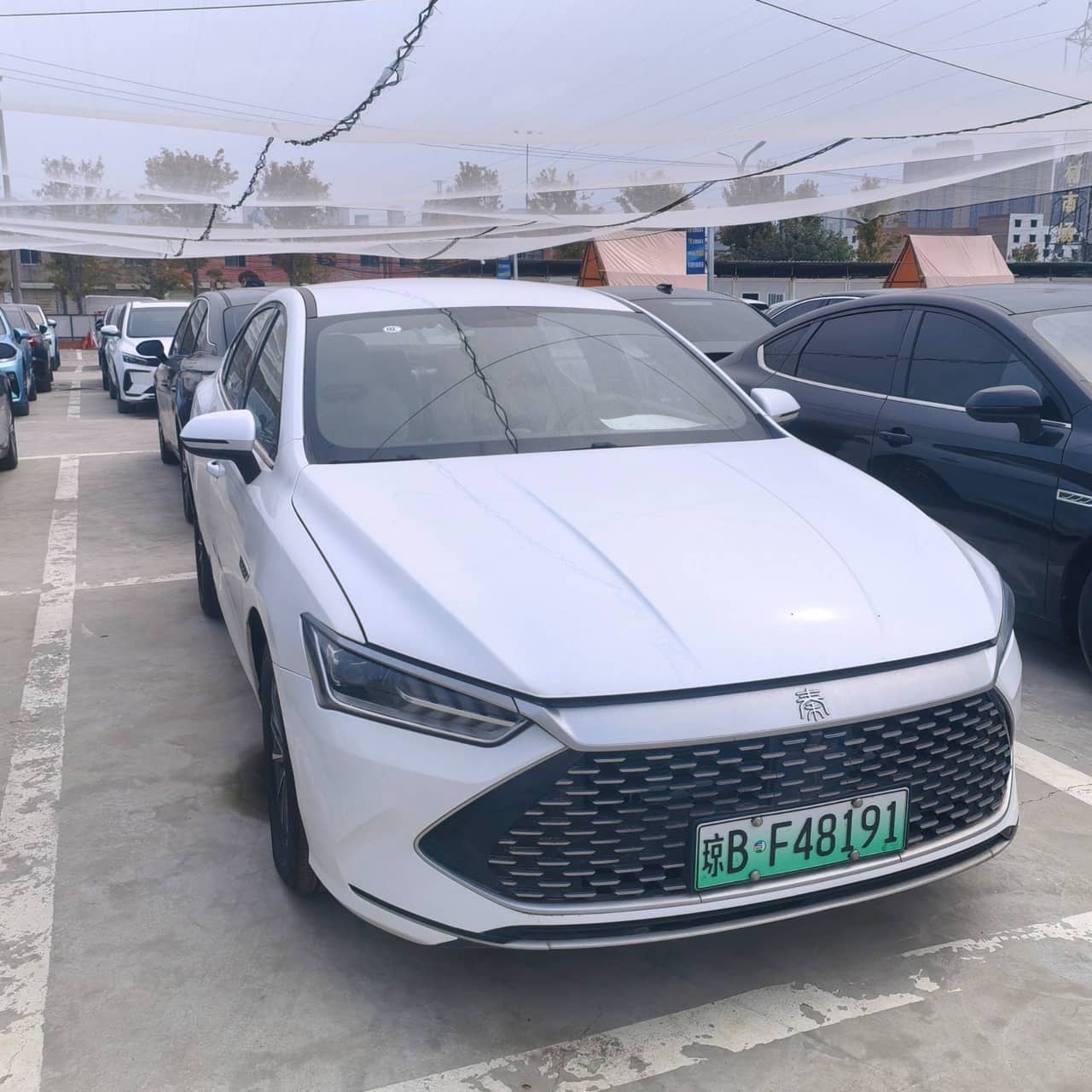 2023 BYD Qin PLUS; curated vehicle image