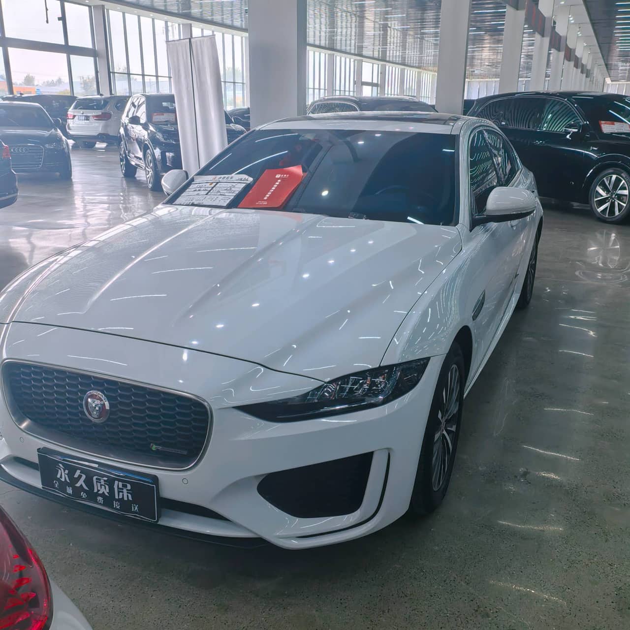 2019 Jaguar XEL; curated vehicle image