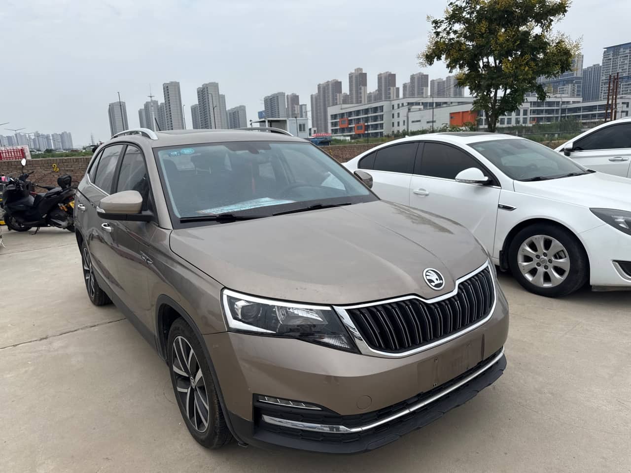 2019 Škoda Kamiq; curated vehicle image
