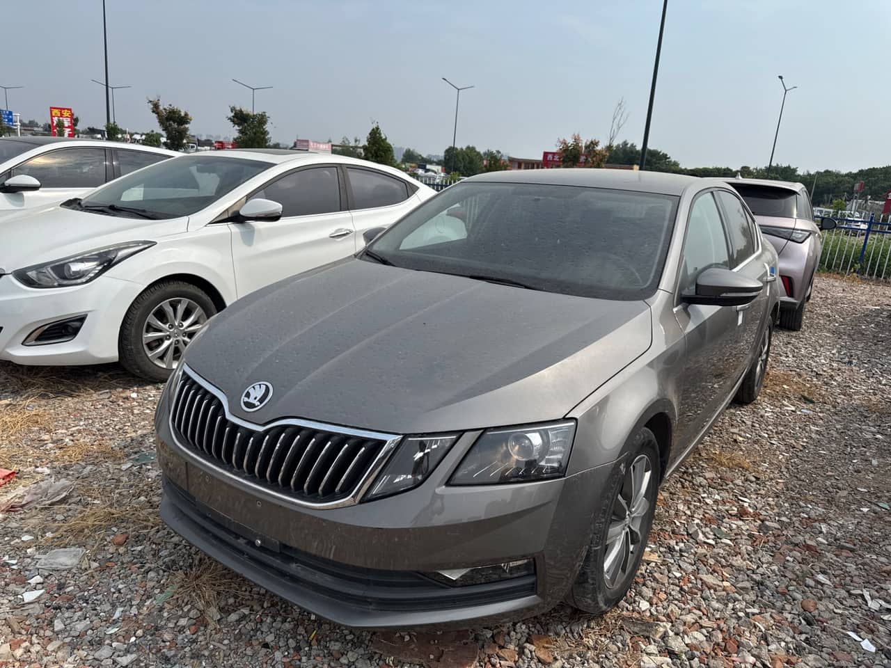 2022 Škoda Octavia; curated vehicle image
