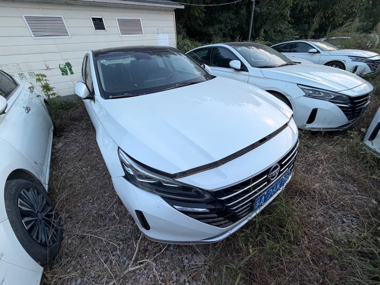 2023 Nissan Teana; curated vehicle image