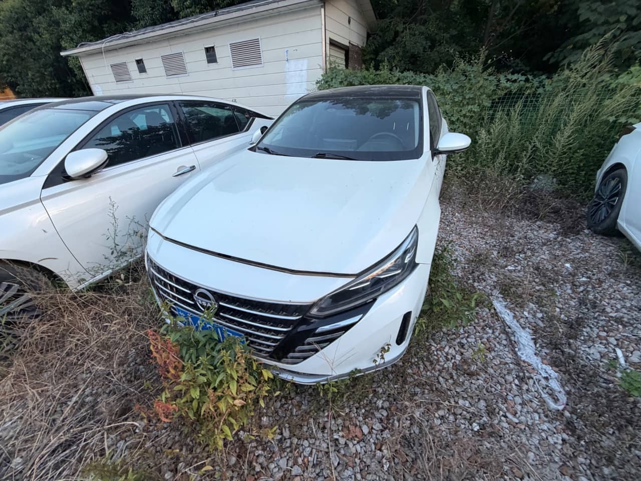 2023 Nissan Teana; curated vehicle image