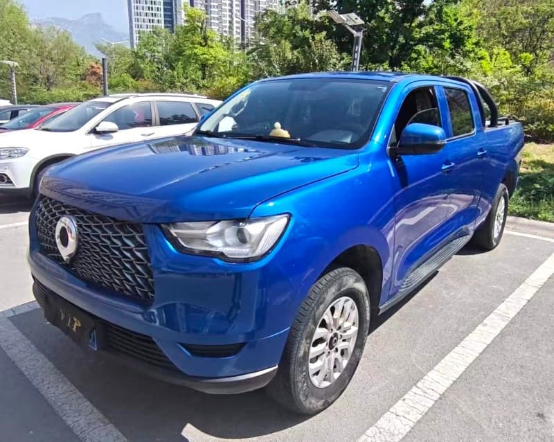 Great Wall Pao (Cannon) – 2019款 Elite Edition; curated vehicle image