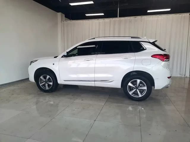 Haval H6 Coupe – 2019款 1.5T Automatic 2WD Luxury Connected Edition (China VI / National VI emission standard) photo 13